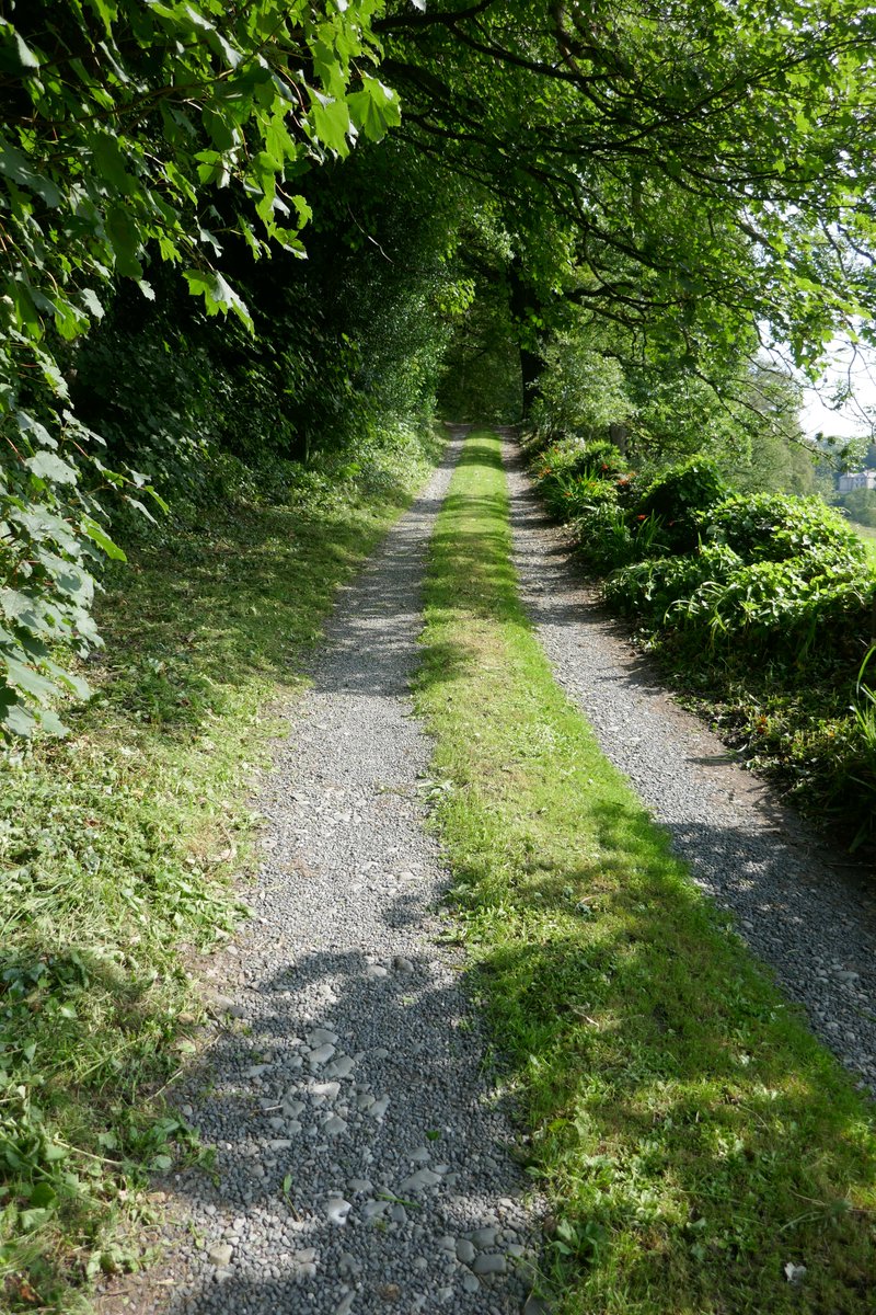 TheLengthsman's tweet photo. Even on my day off I end up being a Lengthsman #Frontlane #tidyup https://t.co/rayBw4s6XD