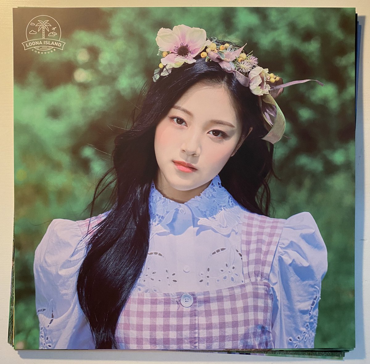 loonaboard's tweet photo. LOONA concept zone poster set 🌴 
© bominflrt https://t.co/Bn9I1HsOeL