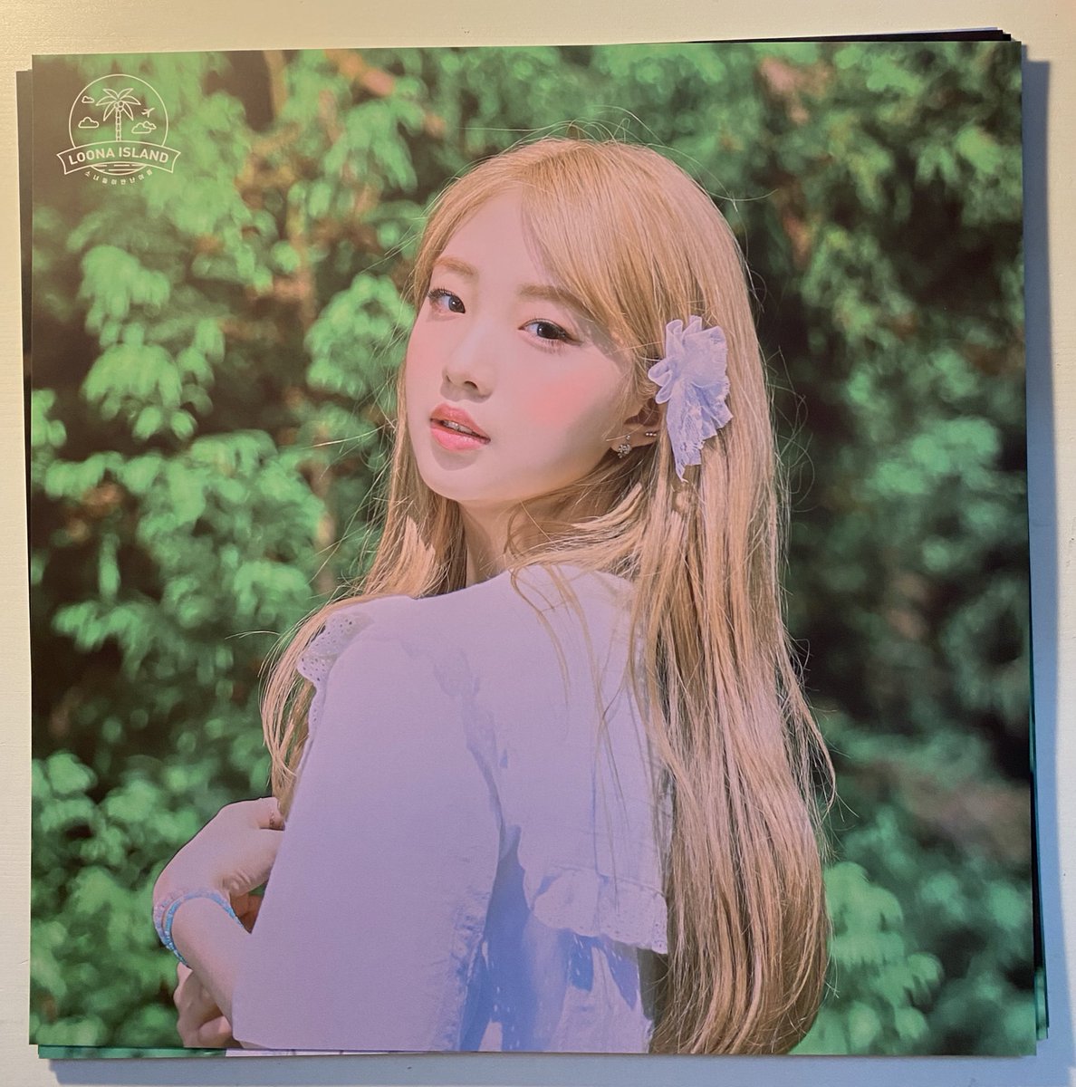 loonaboard's tweet photo. LOONA concept zone poster set 🌴 
© bominflrt https://t.co/Bn9I1HsOeL