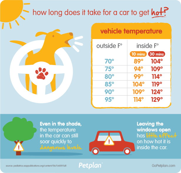 PuyallupPD's tweet photo. It's going to get very hot today and tomorrow. Make sure you don't leave man's best friend in your car- even for a few minutes. And cracking the windows really does nothing. Be safe and leave Fido at home. https://t.co/aZumpcoyhh