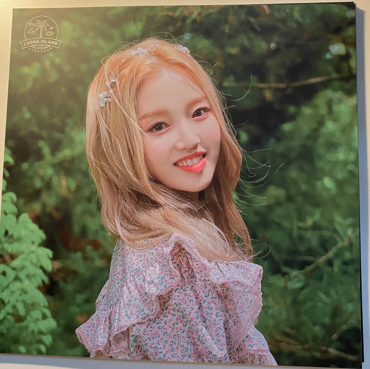loonaboard's tweet photo. LOONA concept zone poster set 🌴 
© bominflrt https://t.co/G6E6186eSU