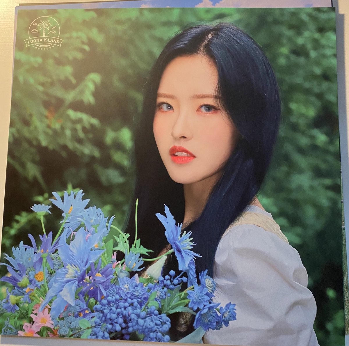 loonaboard's tweet photo. LOONA concept zone poster set 🌴 
© bominflrt https://t.co/G6E6186eSU