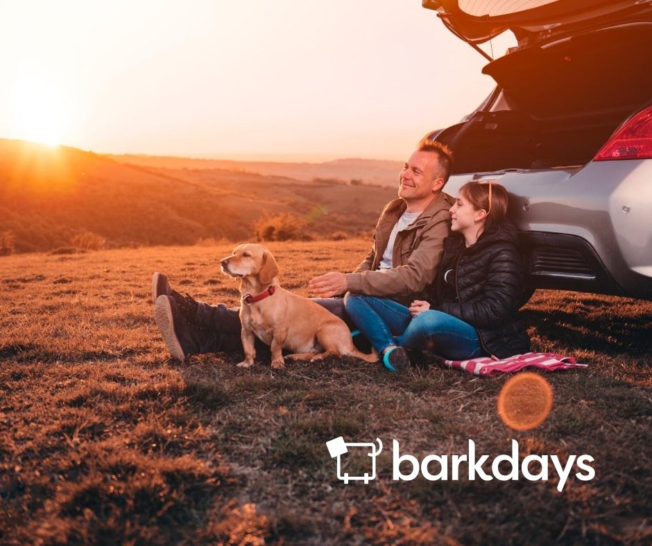 barkdays tweet picture