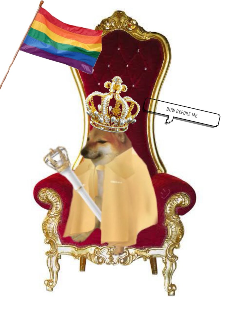 Nessie 🇧🇷🦁🇲🇫 tweet media