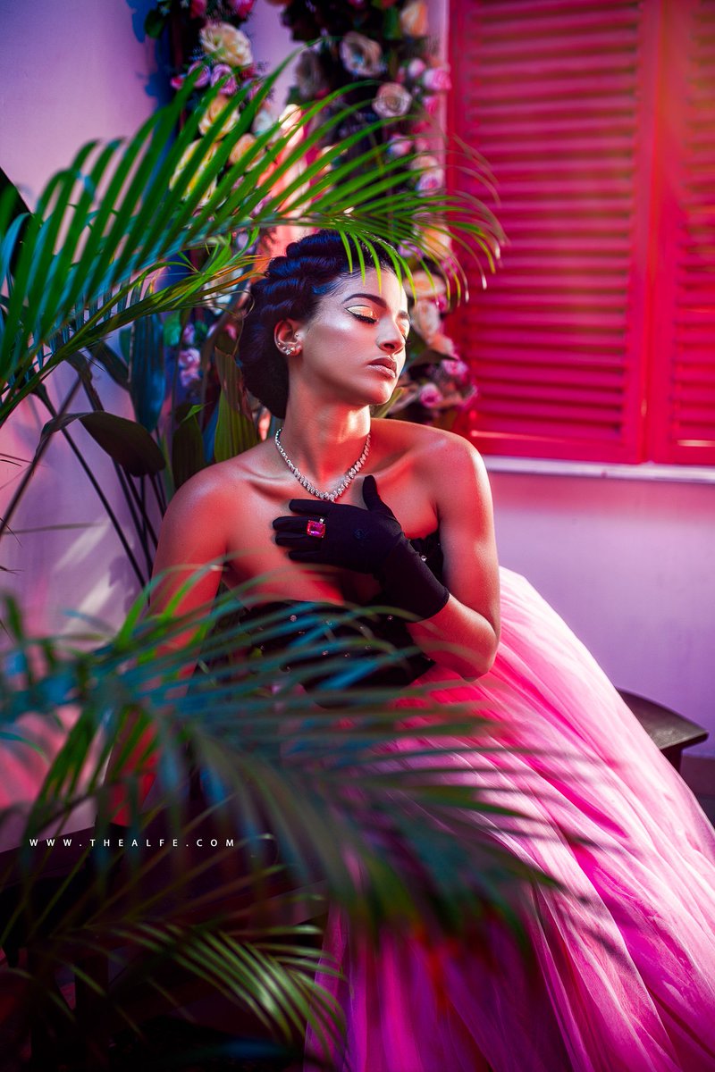 Sophie ✨ tweet media