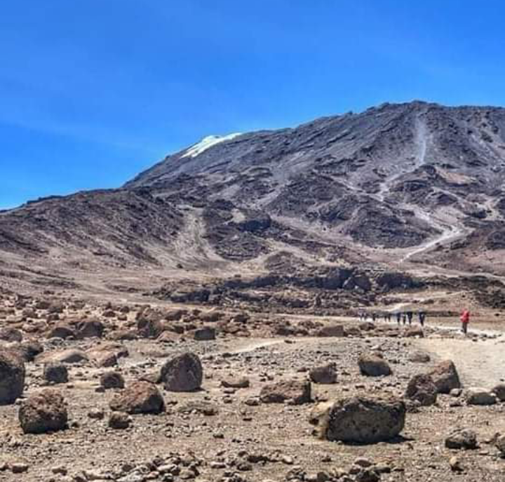 uphilltreks's tweet photo. Join our new year group via Machame route and summit on the New Year 2021. The group size will be a maximum of 10 Pax.
The trekking will be 7 days ethical Kilimanjaro via the Machame route, the best for acclimatization. 

For more details;
https://t.co/H0TrNKy3T5

#Travel #climb https://t.co/VTh3ionNqK