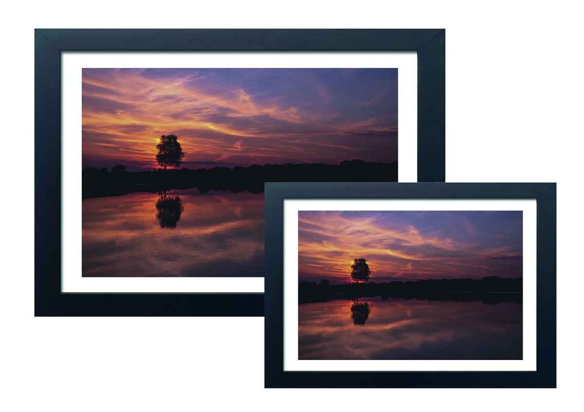 Excited to share the latest addition to my #etsy shop: Andrew’s Mare, The New Forest - 'Summer Evening Sunset' Original Photo etsy.me/2PWAnk8 #framed #contemporary #landscapescenery #horizontal #blackframe #andrewsmare #newforest #hampshire #unitedkingdom