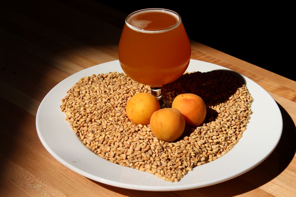 Fish Brewing Company tweet media