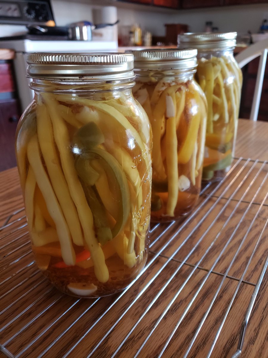 MsWilso47049488's tweet photo. Finished my FNMI peoples teachings, histories and current issues course today with an A+. Now, time for some canning. https://t.co/kQFFMCFSR4