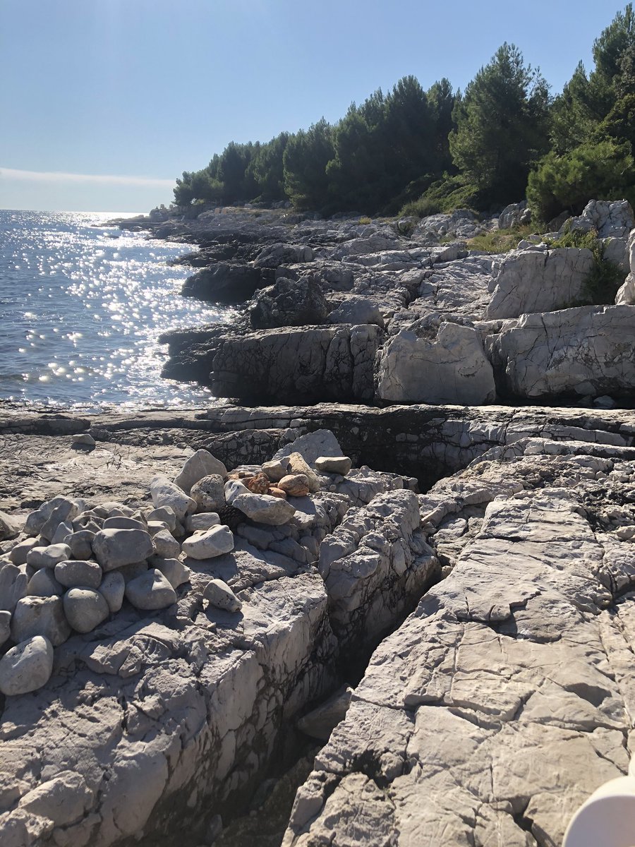 _alessandro___'s tweet photo. Situazione in #Croazia. Personalmente mi sento più sicuro qua che a Jesolo, Lignano o Sottomarina. Ma i tamponi facciamoli a chi rientra dalla Croazia dopo il 13 agosto. https://t.co/BvuAPUlJFb