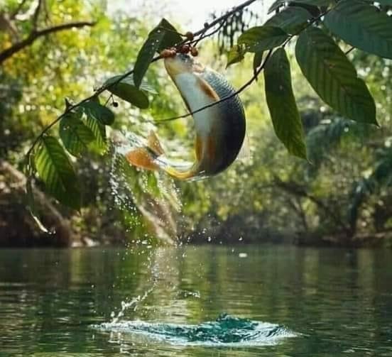 পেটের ক্ষুদা সকল প্রানীকে পরিশ্রম করতে শেখাই.......