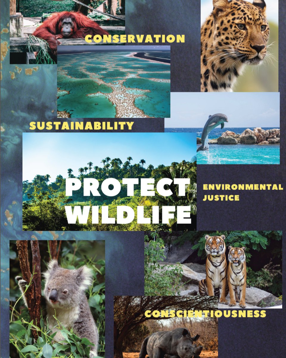 documentarNOW's tweet photo. “This shows beauty and what to protect to stay alive: wildlife, biomes (great barrier reef), jungle -- the beauty of nature and our earth.” Kathalinne @EarthEcho Youth Summit
#documentarEarthEcho
#oceanecho30X30
#EarthEcho
#documentarLongBeach
#documentarCalifornia https://t.co/6eYTCVwNtN