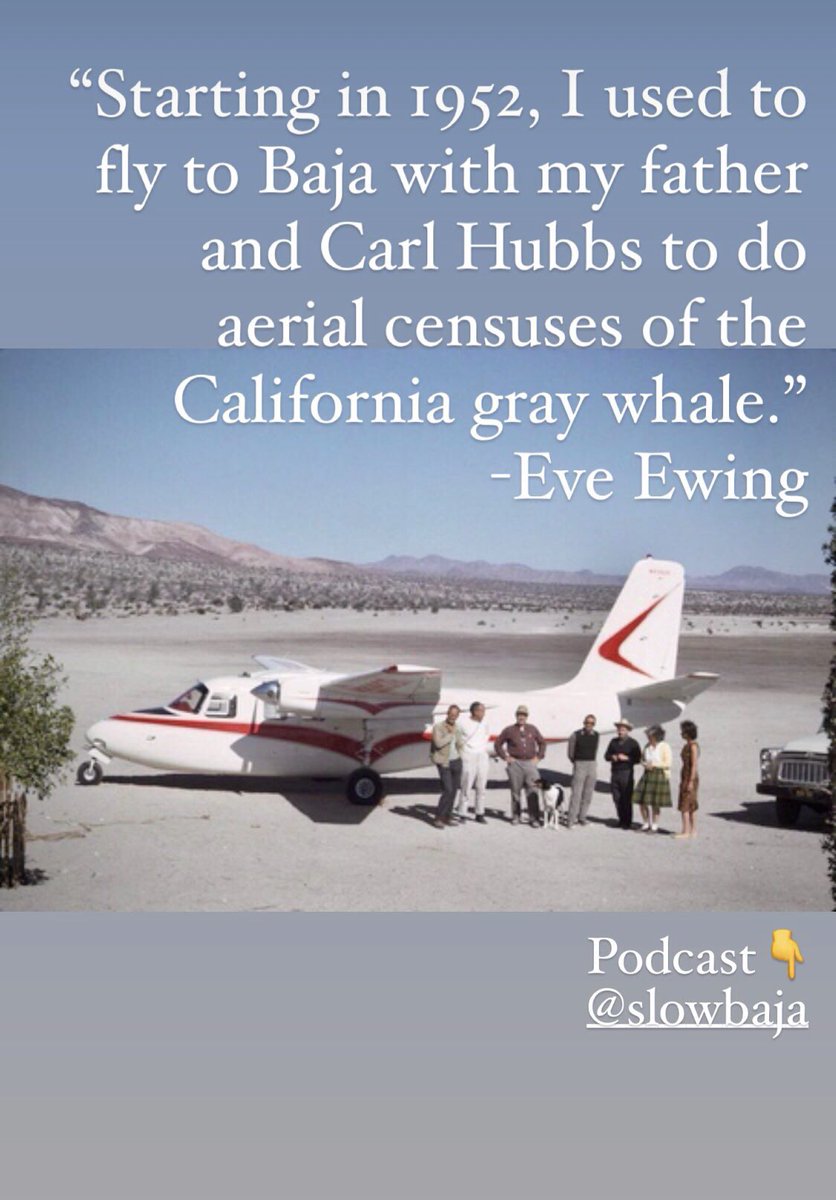 Slow Baja Podcast tweet media