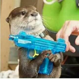 youngjae as otter   — a devastating thread