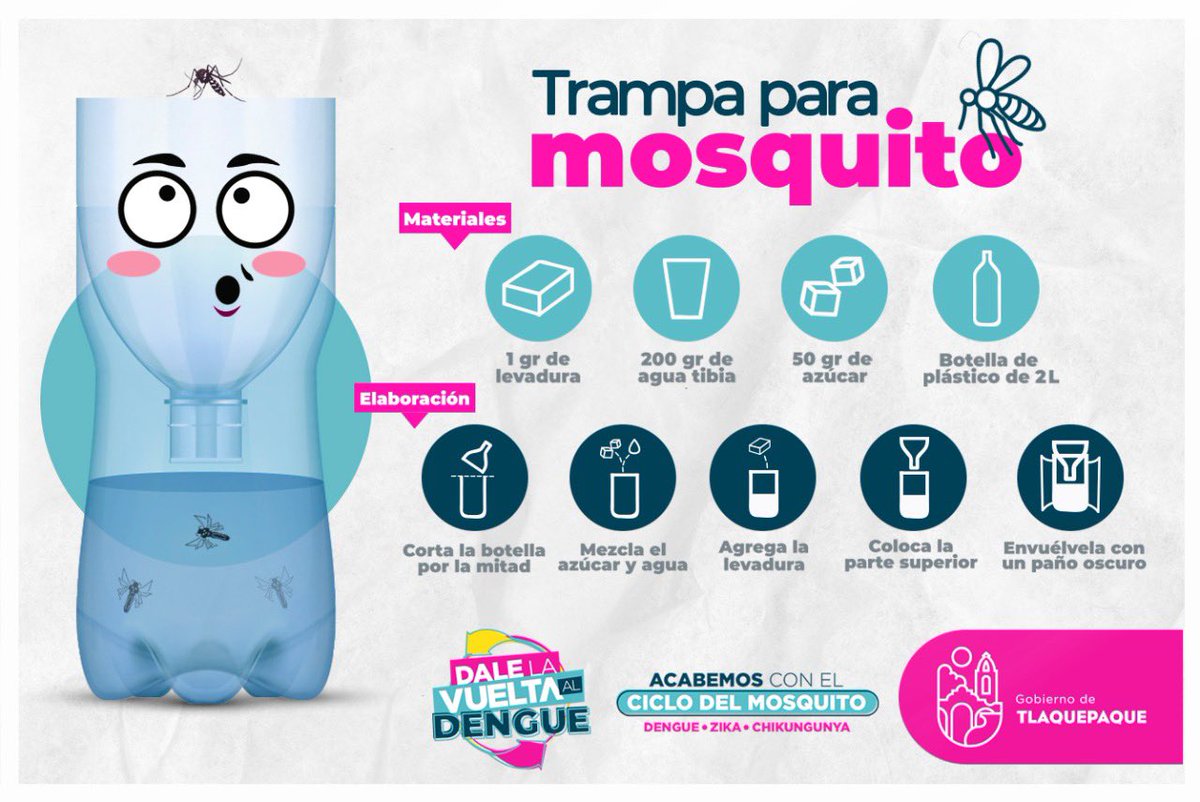 GobTlaquepaque's tweet photo. Cuida a tu familia del dengue 🦟 

Sigue estos sencillos pasos para construir una trampa casera para el mosquito transmisor del dengue.

¡Juntos seguimos previniendo! https://t.co/I6v79X7h1u
