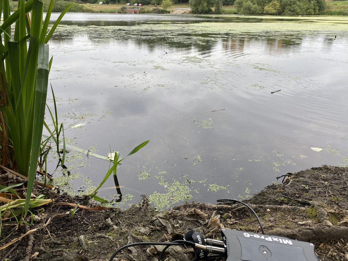 anniemahtani's tweet photo. Hydrophone recordings at Babbs Mill Lake for Link&Shift SOUNDwalk with @SOUNDkitchen & @eprjcts #hydrophones #hiddensounds #underwater #fieldrecording https://t.co/JgDW3f3TnO