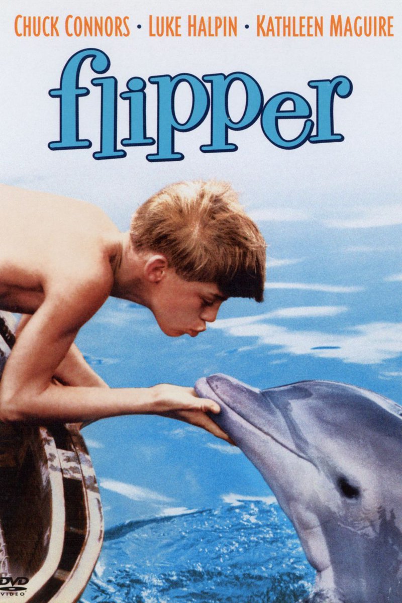 #Flipper The TV series that ran from 1964 to 1967, was filmed at the #MiamiSeaquarium on the #RickenbackerCauseway and at the Ivan Tors Studios. #FLliving