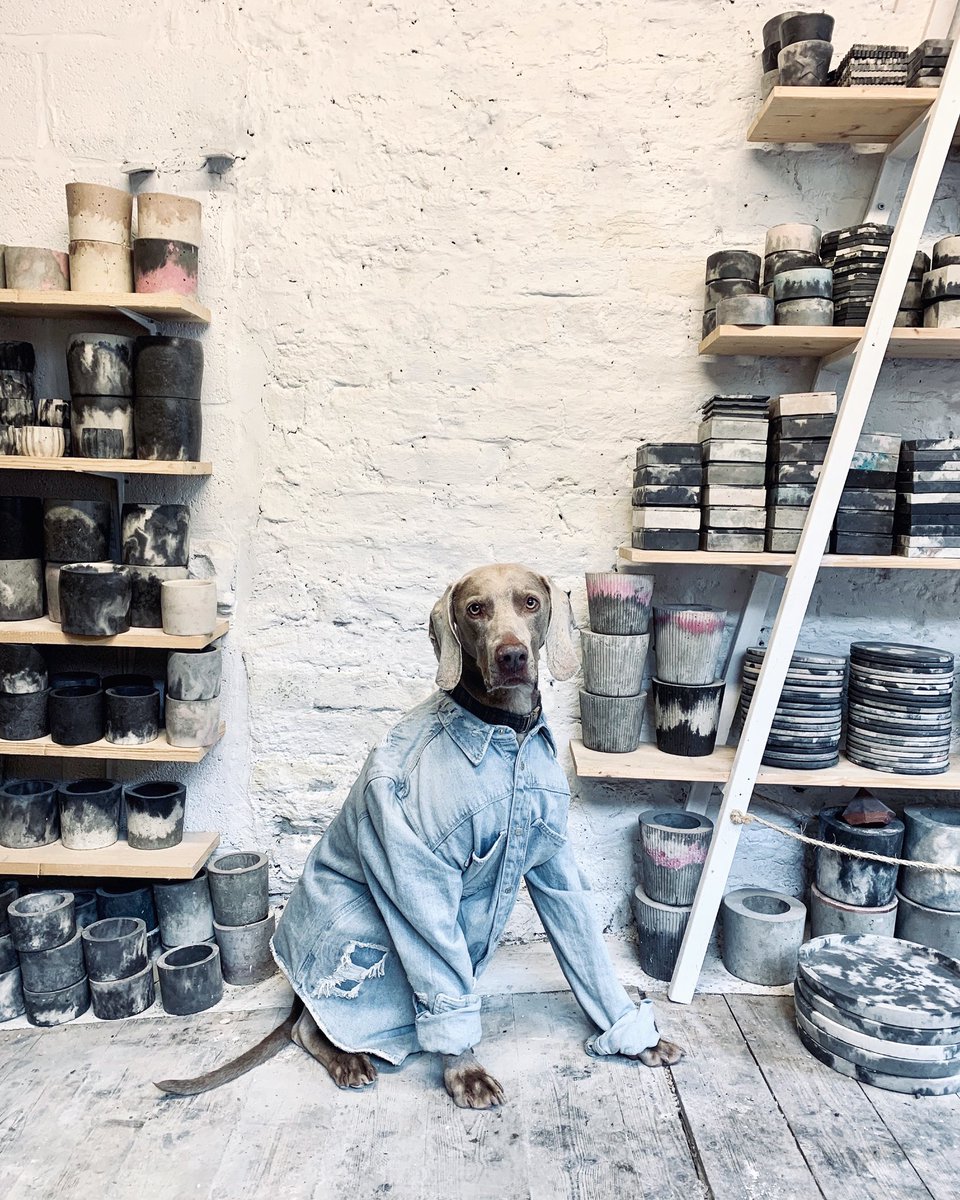 Harley looking the part in his new uniform... #potterystudio #arteest 

hannahharriet.com