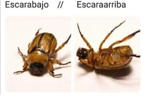 notafaso's tweet photo. *me rio mirando el celular*
Mi vieja: ahhhh el enamorado
De lo que me me rio: https://t.co/bKbIdpHxj0