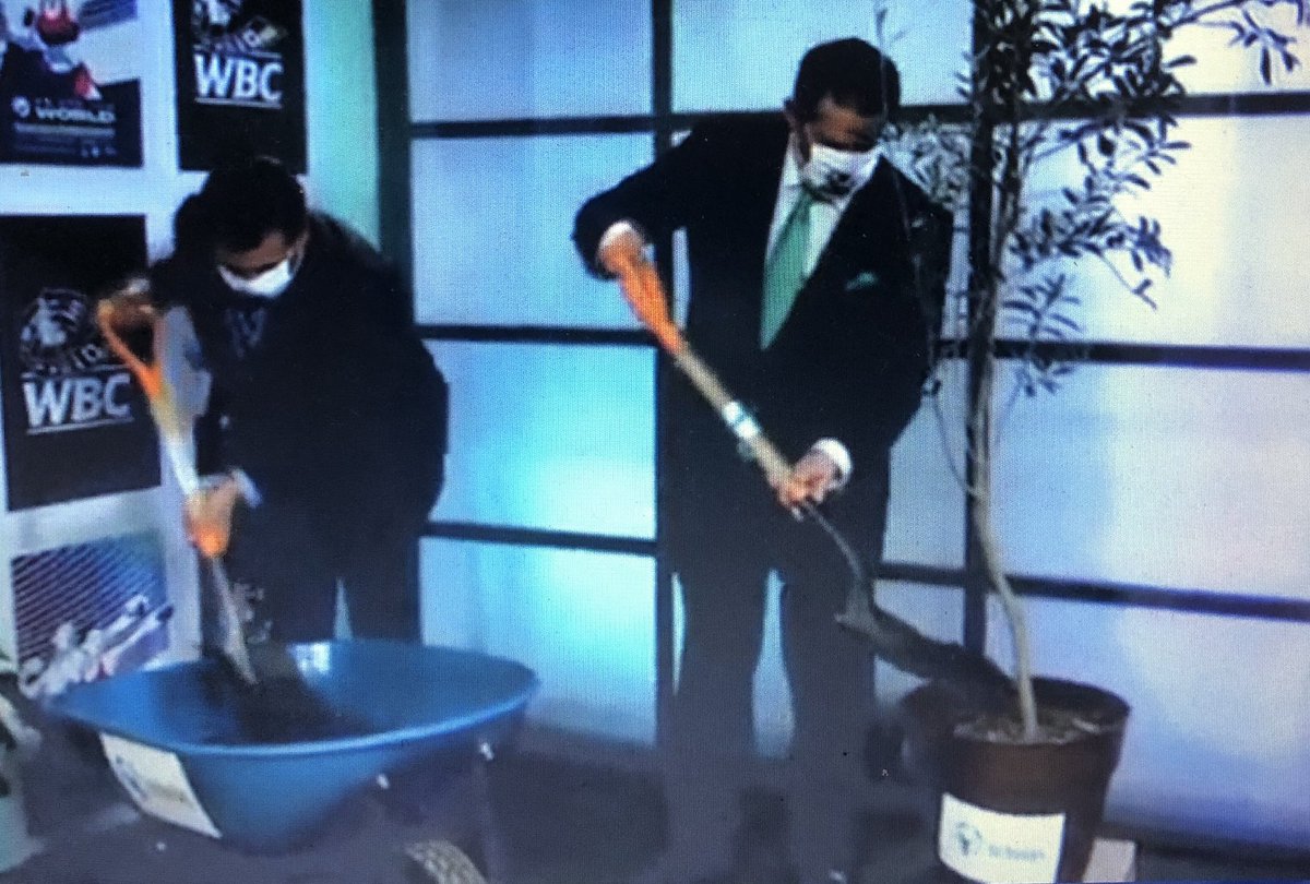 DavidTorresIZQ's tweet photo. Celebran @wbcmoro y @HectorSulaimanS los 5 años de @InfoScholas y #BoxVal. Plantaron Olivo de la Paz y presentaron “Guante de la Paz” en la ceremonia de clausura de la #WBCConvention58 https://t.co/imldTtq1m8
