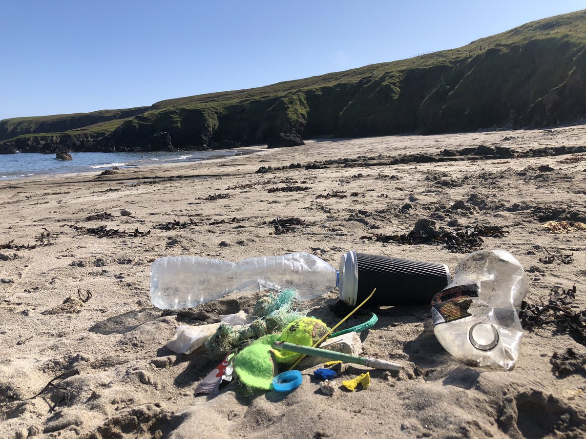 Linsey Stewart tweet media