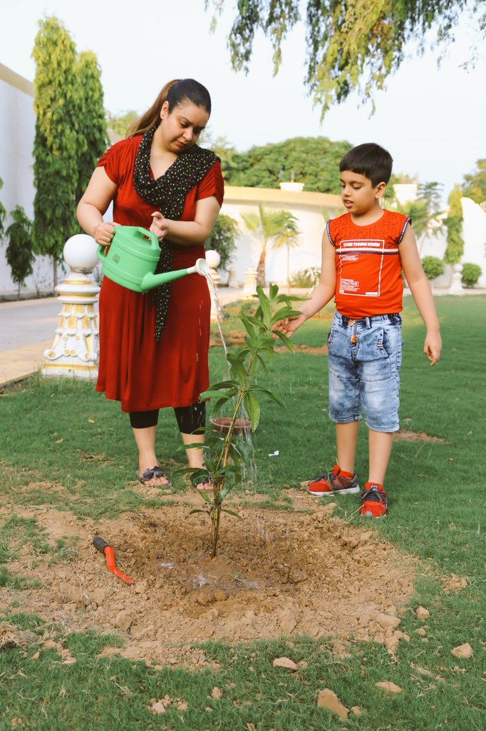 afsanaemeet's tweet photo. Tree Plantation 15th Aug 2020 https://t.co/IU52j4RMTz