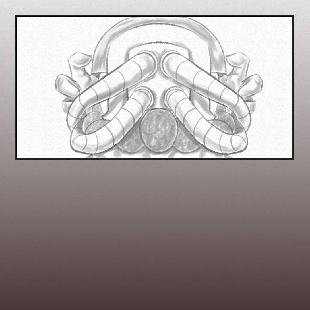 DarkBugArt's tweet image. I have a couple of pages done a head of time. So I'll show off my art process. If you have any questions on what I do on each step. I'll be happy to answer.

#surfacepro #surfacepro6 #surfaceproart #surfaceproartist #surfaceprodrawing #surfaceprosketch #surfacepro6art m