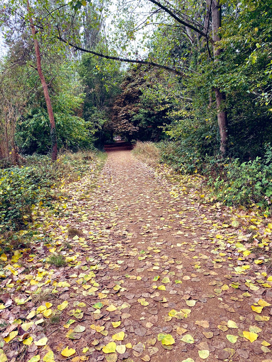 easyfxpips's tweet photo. Having a relaxing stroll through #Northafields #Ealing #WestLondon 
So important you live your #bestlife and be grateful #VJDay 
#fx #forex #trading #fxlifestyle #traderlifestyle #SaturdayMorning
#Loveyourself #success #Health #nationaltrust https://t.co/y5LrHgbJ8M
