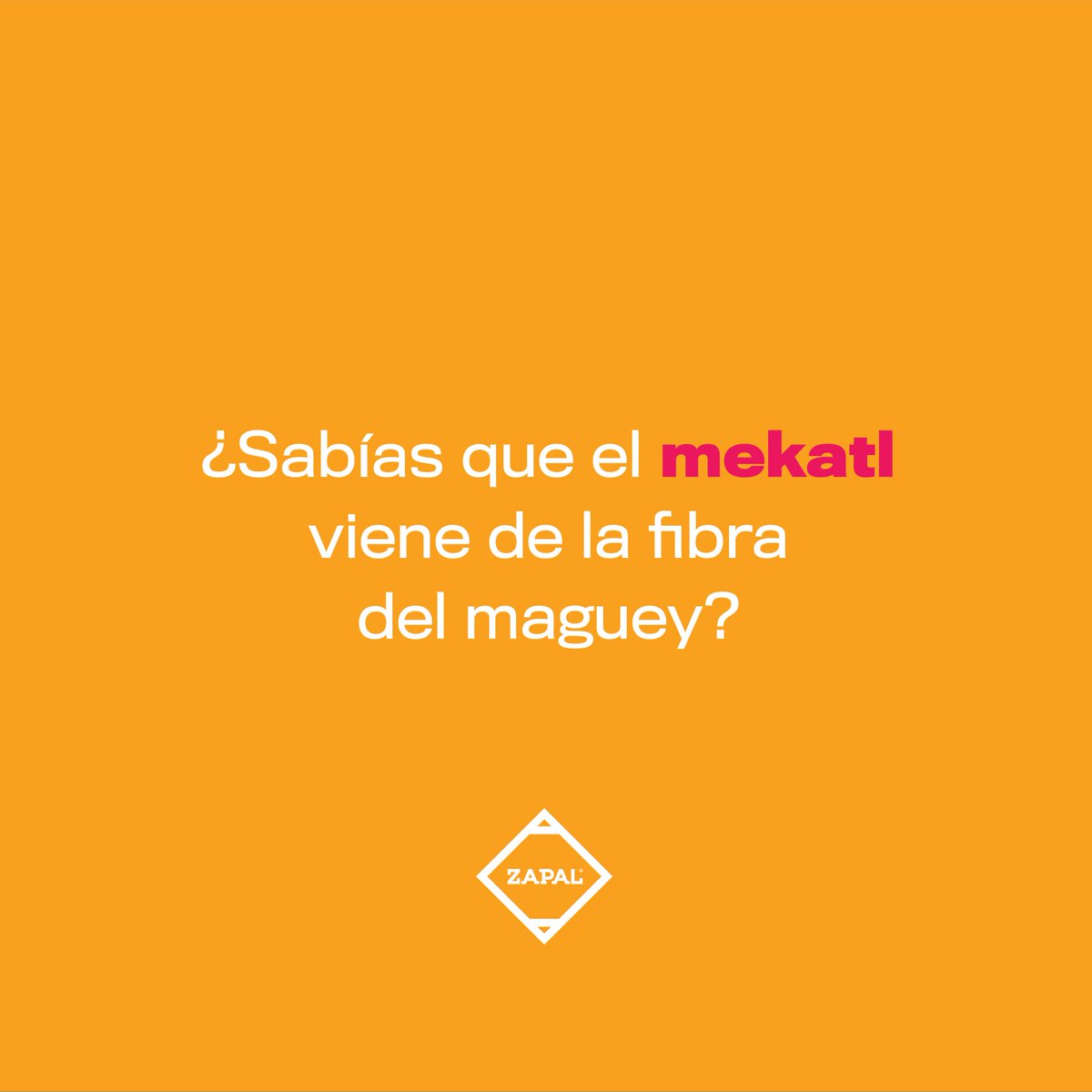 ¡Bendito sea el maguey! 🙌
 
#SomosMexico #Somoslaspalabras #musica #festival #fugaalzapal #saltillosuena #nahuatl #mecatl #Zapal2020 #cuerda #mecate #maguey