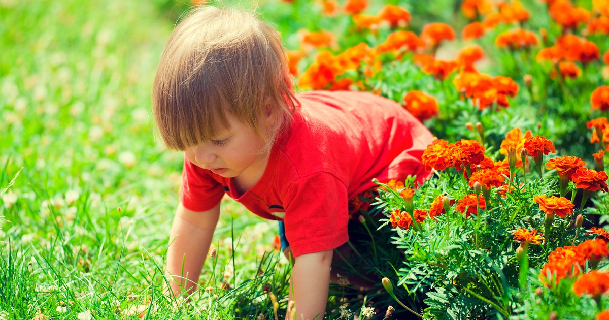 CityWestminster's tweet photo. Want to have fun outdoors with the family and be in with the chance of winning £20 in Sainsbury’s vouchers? 

Download our #NaturallyActive booklet, packed full of activities and games from #Change4Life #Westminster, @theroyalparks and @HEPadvisers ➡️ https://t.co/kooAOB7H4g https://t.co/VkLw1PkskZ
