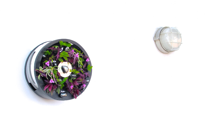 bihemispheric's tweet image. BIONIC MIRROR - HONEVO DESIGN bi-hemispheric.blogspot.com/2020/08/espejo… #bionicmirror #espejobionico #honevo #design #futuristic #green #vertical #garden #sustainable #reflection #bihemispheric #art #arte #bihemisferico