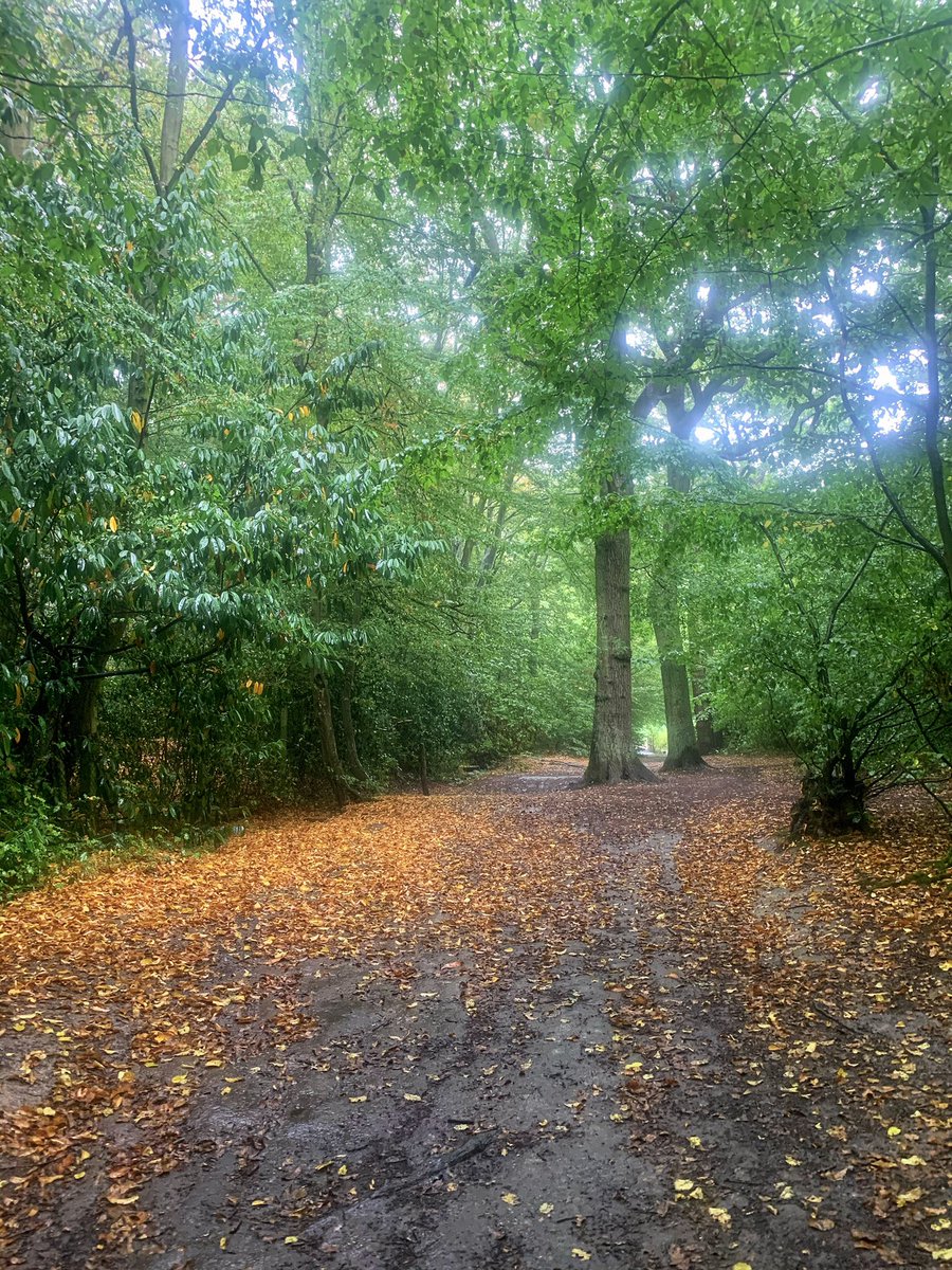 romfordrunner's tweet image. So refreshing to run in the rain on a Saturday morning! #runningintherain #trailrunning #ukrunchat #saturdayrun #longrun