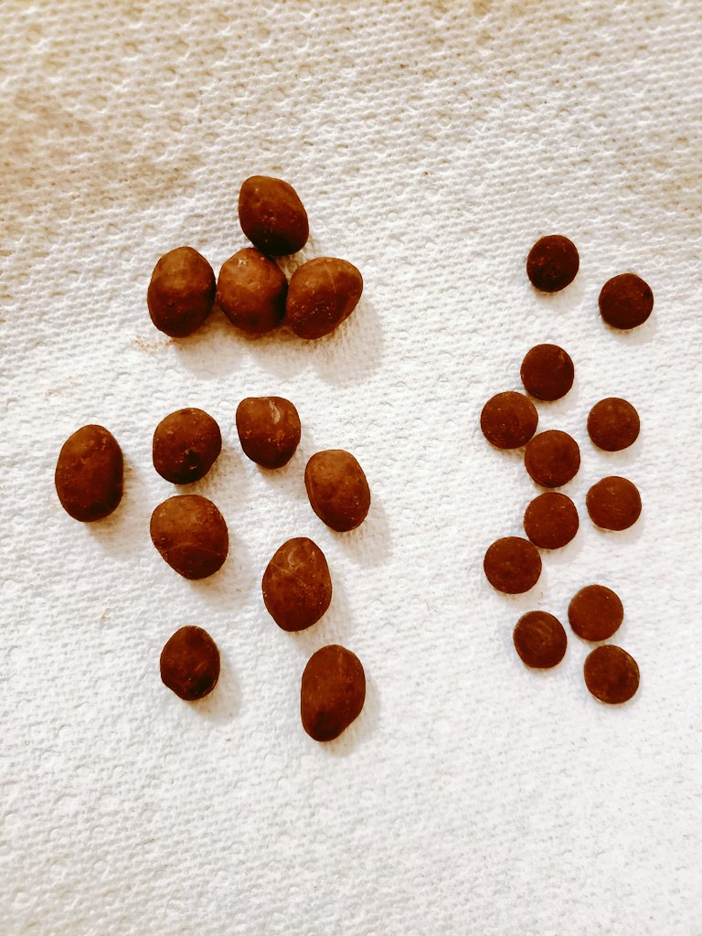 The chocolate dried overnight to add to the amazing scientific precision of my PopScience experiment!