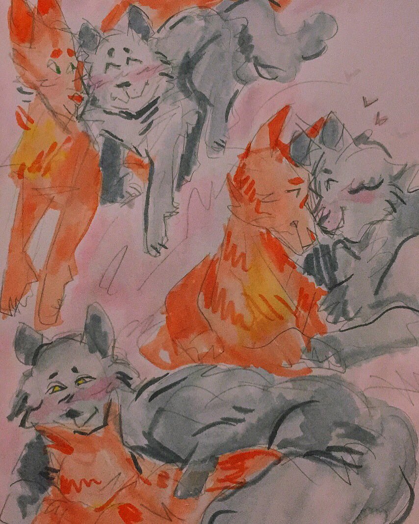 deviIsplayhouse's tweet photo. wtf gay little kitties #warriorcats #firegray https://t.co/tUVh07dPv6