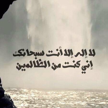 mume_imar's tweet photo. https://t.co/fjHeuQNHiT
