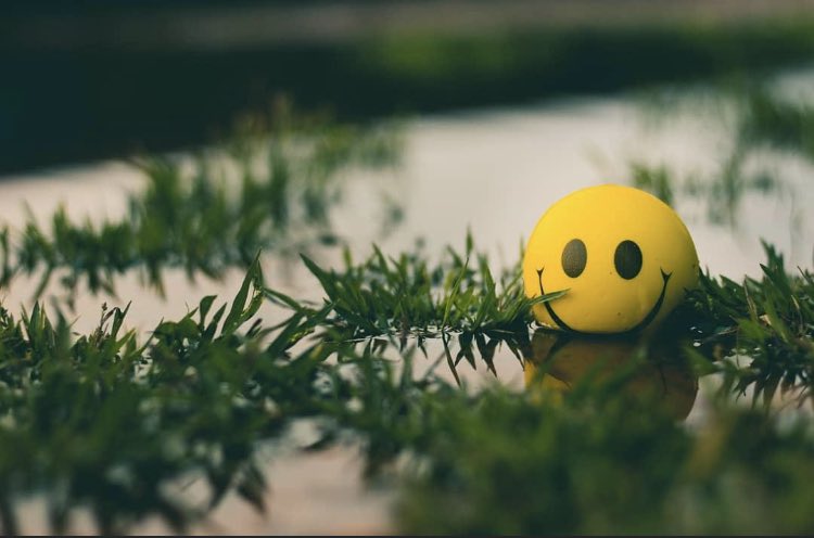 CagedInspo's tweet photo. Rain for the next 5 days.. thats okay we'll keep smiling right through! Just like life eventually the storms and clouds pass and the sun will shine again.💥 If you are in the midst of a storm right now, be assured it will end and the brightness and warmth of life will return.💛 https://t.co/ZwyYseyqzd