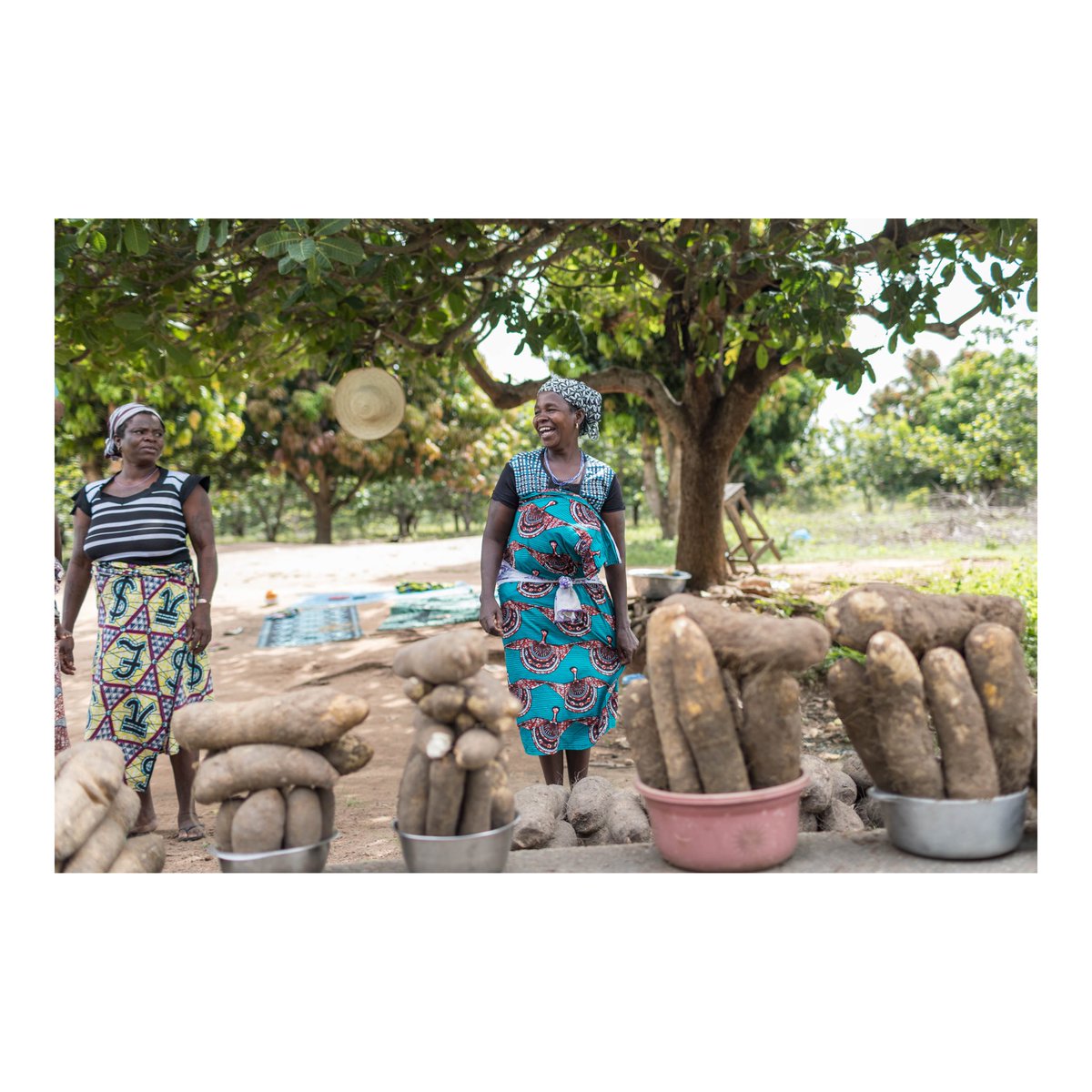 yanickfolly's tweet photo. Le 15 août c’est la fête de l’igname 🍠. 
Bonne fête d’Assomption . 
#bénin #benin #visitbenin #visiterlebenin  #fête #vendeuse #photojournalism #people #yam🍠 #africa #visiterlafrique #visitbenin #Bénin #Africa #travel #everyday #everydayafrica 
©️Yanick Folly https://t.co/dA4JjknVTU