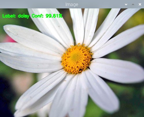 baijorge's tweet image. I can&apos;t believe how small can be a #TFLite model quantized for #Coral #EdgeTPU

This #Classificator only requires a 3.4MB file size model for #Inference over flowers images ¡In just 0.02 seconds!

@TensorFlow @opencvlibrary #MachineLearning #RaspberryPi @Raspberry_Pi
#LearnToCode