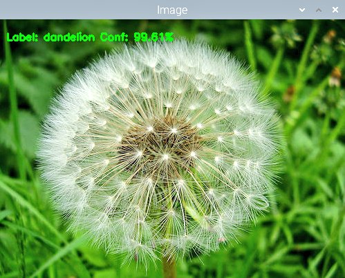 baijorge's tweet image. I can&apos;t believe how small can be a #TFLite model quantized for #Coral #EdgeTPU

This #Classificator only requires a 3.4MB file size model for #Inference over flowers images ¡In just 0.02 seconds!

@TensorFlow @opencvlibrary #MachineLearning #RaspberryPi @Raspberry_Pi
#LearnToCode