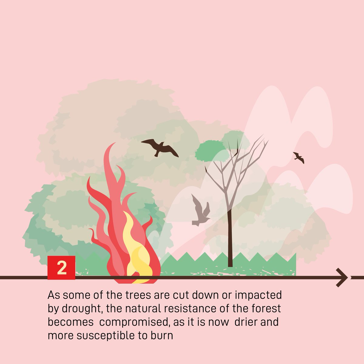 Greenpeace's tweet photo. We cannot allow more forest destruction. 

Because losing the Amazon means losing the fight against the climate crisis. https://t.co/5KCDCCdb8g
