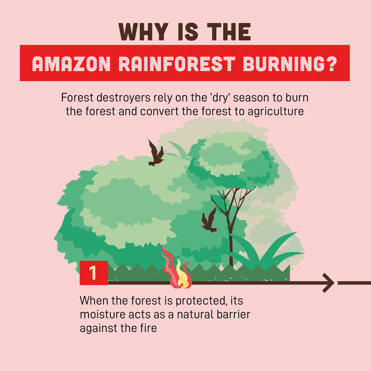 Greenpeace's tweet photo. We cannot allow more forest destruction. 

Because losing the Amazon means losing the fight against the climate crisis. https://t.co/5KCDCCdb8g