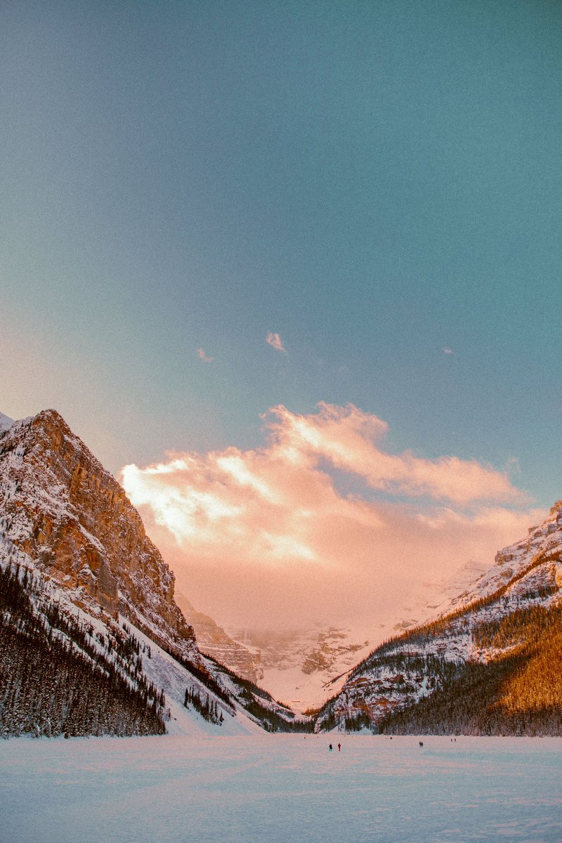 Mike Mann Msmann86 Twitter