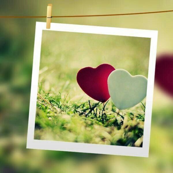 .
.
.
"وتستحق قلوبنا أن تُحمل على كفوف من الحُب ونستحق ألا نهون أو يُستهان بنا"💛.
.
.