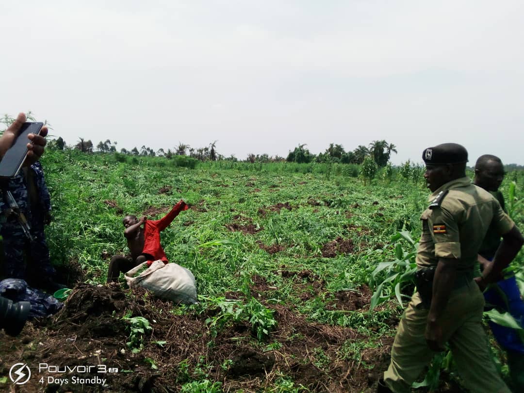 Uganda Police Force on Twitter "The police and its sister security