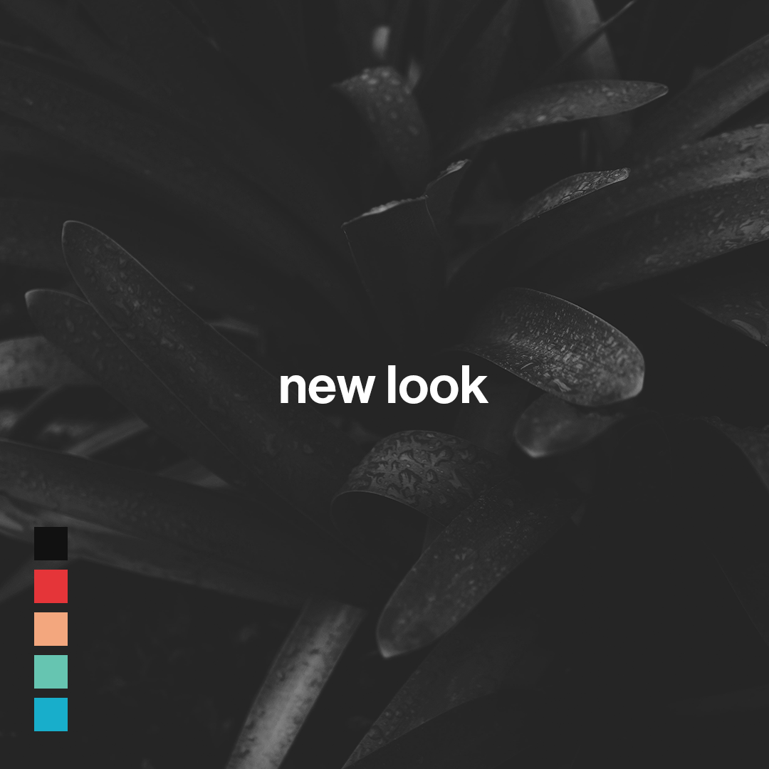 churchonthemove's tweet photo. New look, same mission: introducing people to the 𝘳𝘦𝘢𝘭 Jesus.⁣

We've really enjoyed working on freshening up our look. Hope you like it! https://t.co/kxAZzBq880