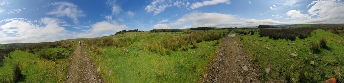 Views and a drunken signpost 