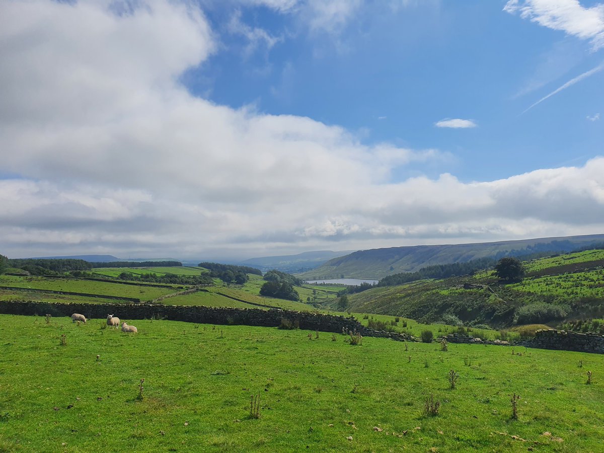 Views and a drunken signpost 