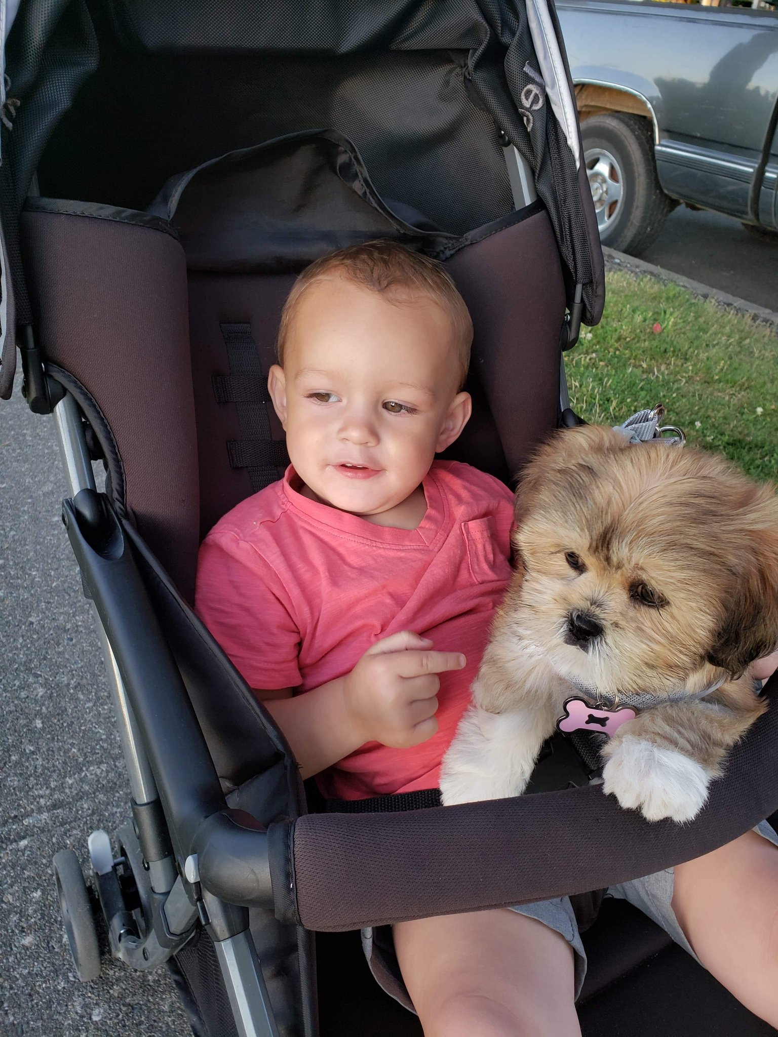 i_like_bb_stock (@i_lik_bb_stock) / Twitter