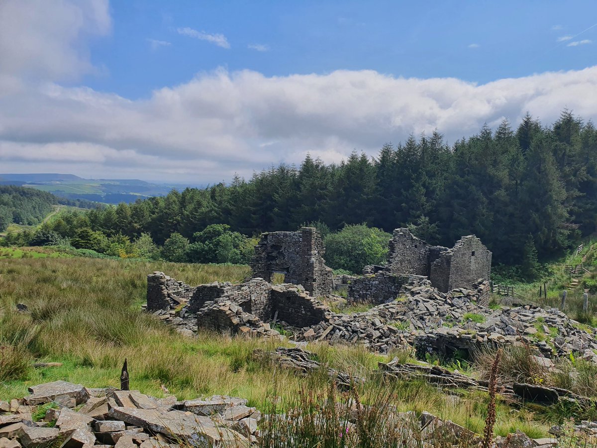 Ruins and a rather smart stile 