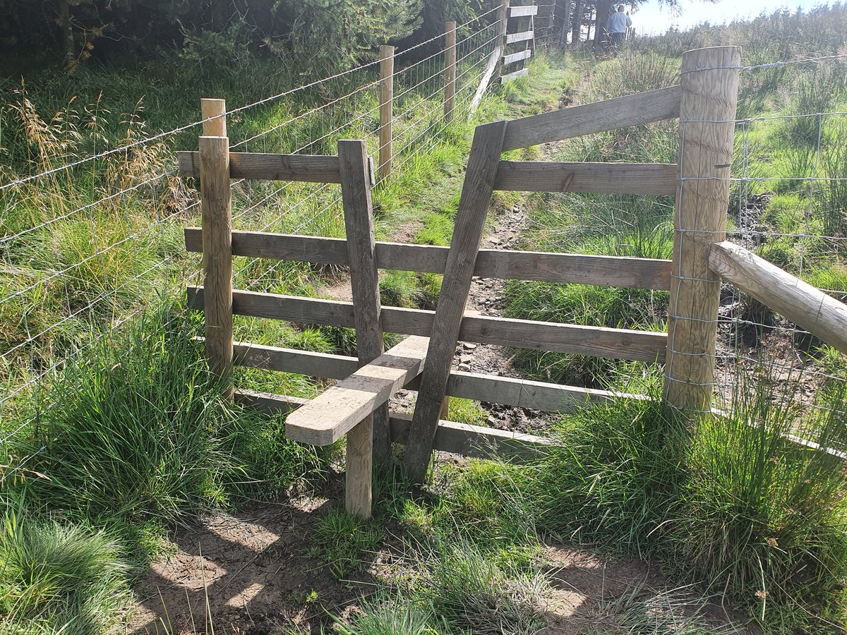 Ruins and a rather smart stile 